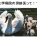 知らなかった!!京大医学部卒医師が教えるブランド大学病院の研修医が外部生である真相